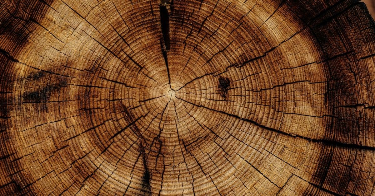 Megamenü Interior Film Wood