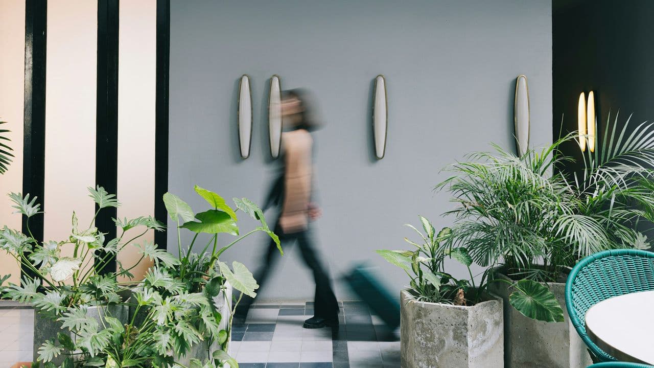 Frau vor blauer Wand mit Pflanzen