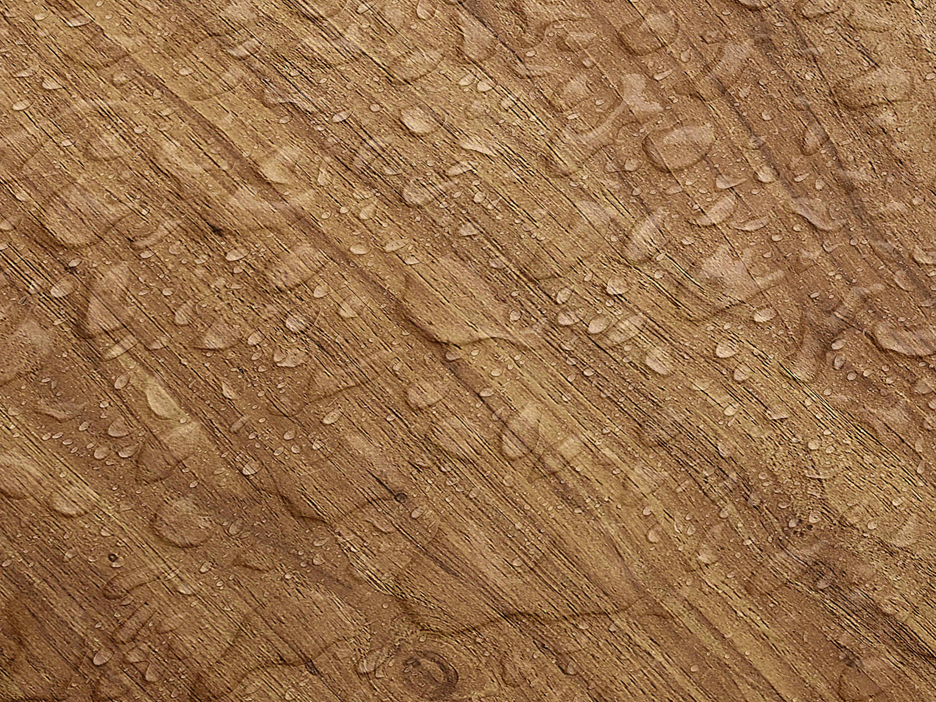 Testbild
