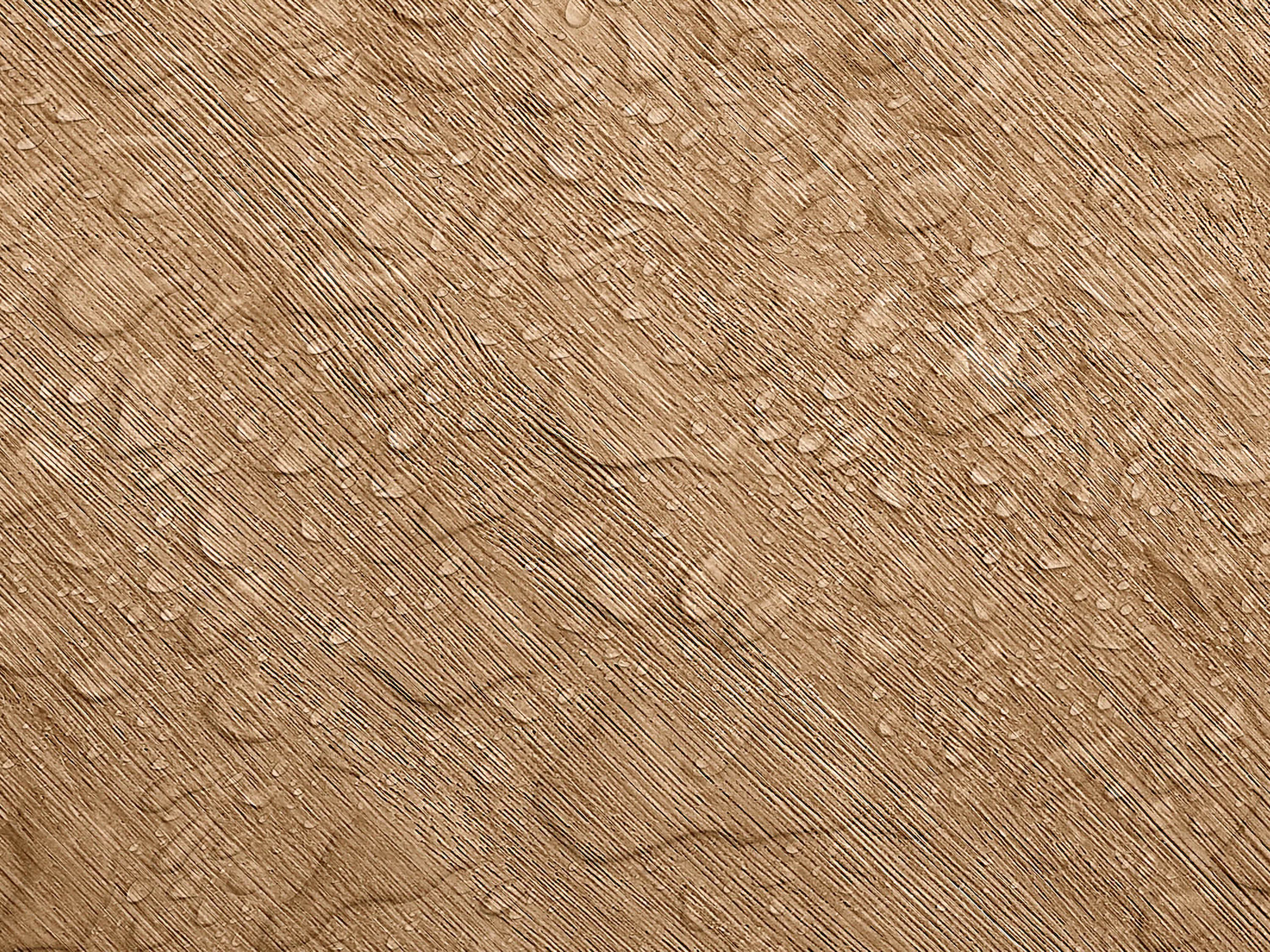 Testbild