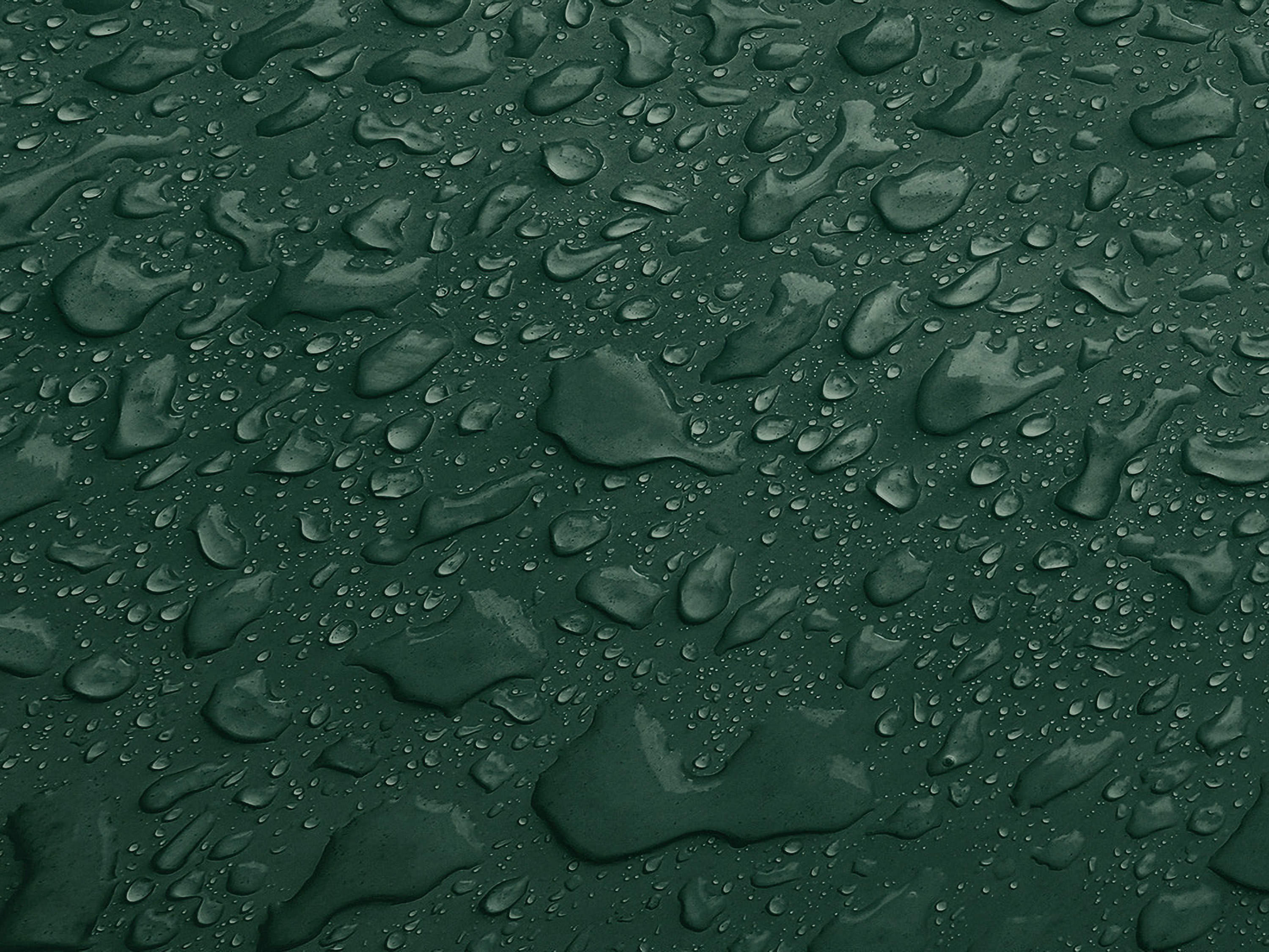 Testbild