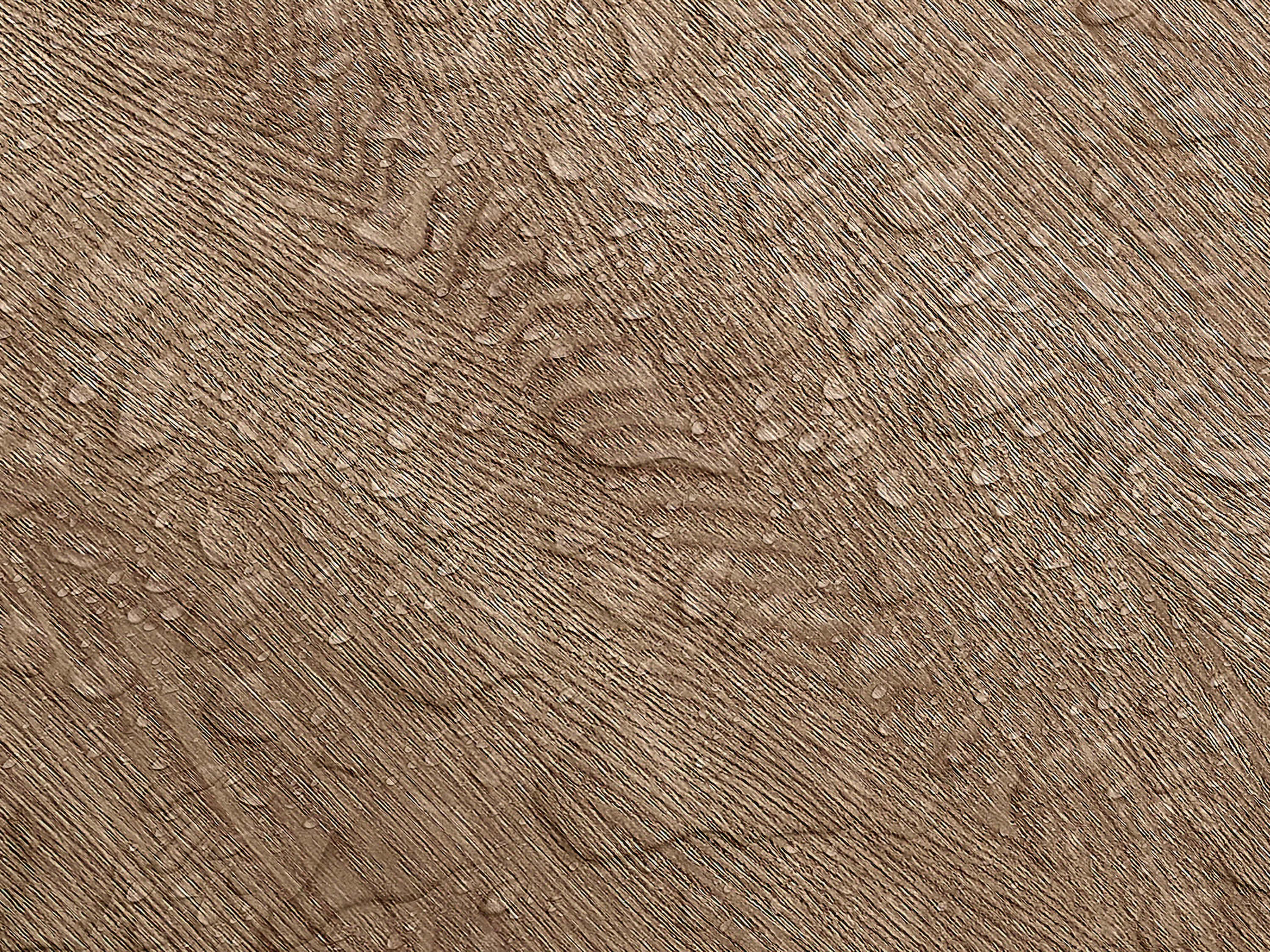 Testbild
