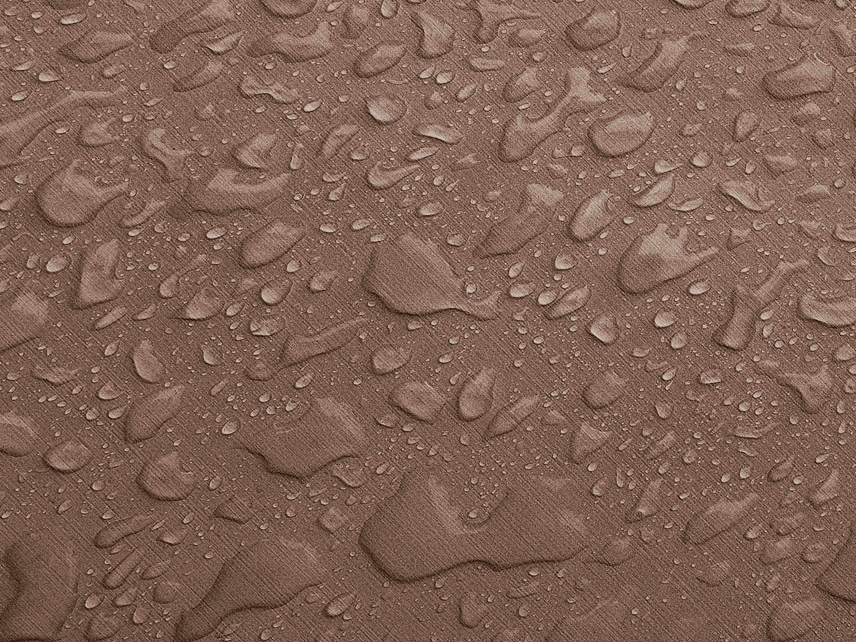 Testbild