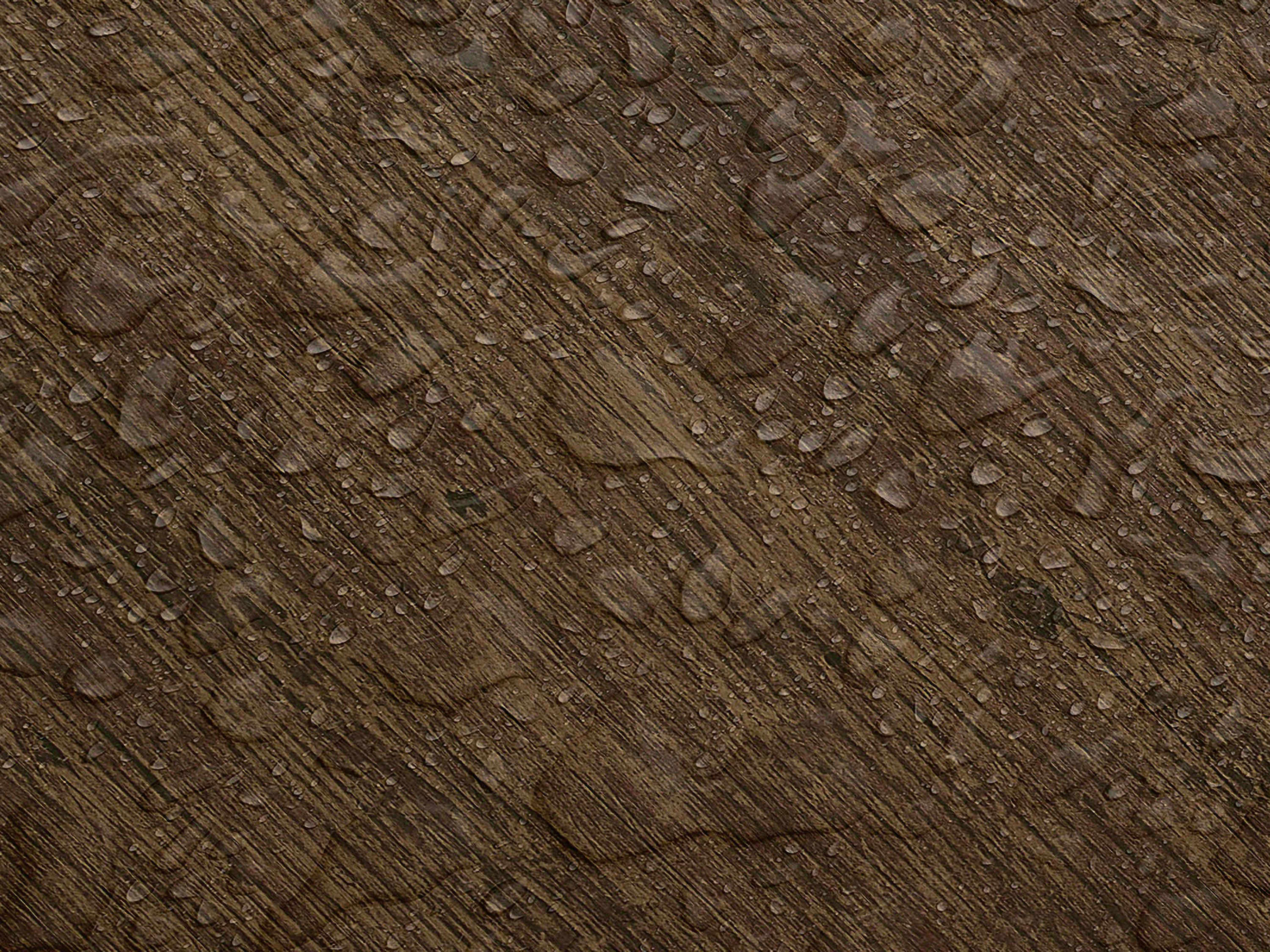 Testbild