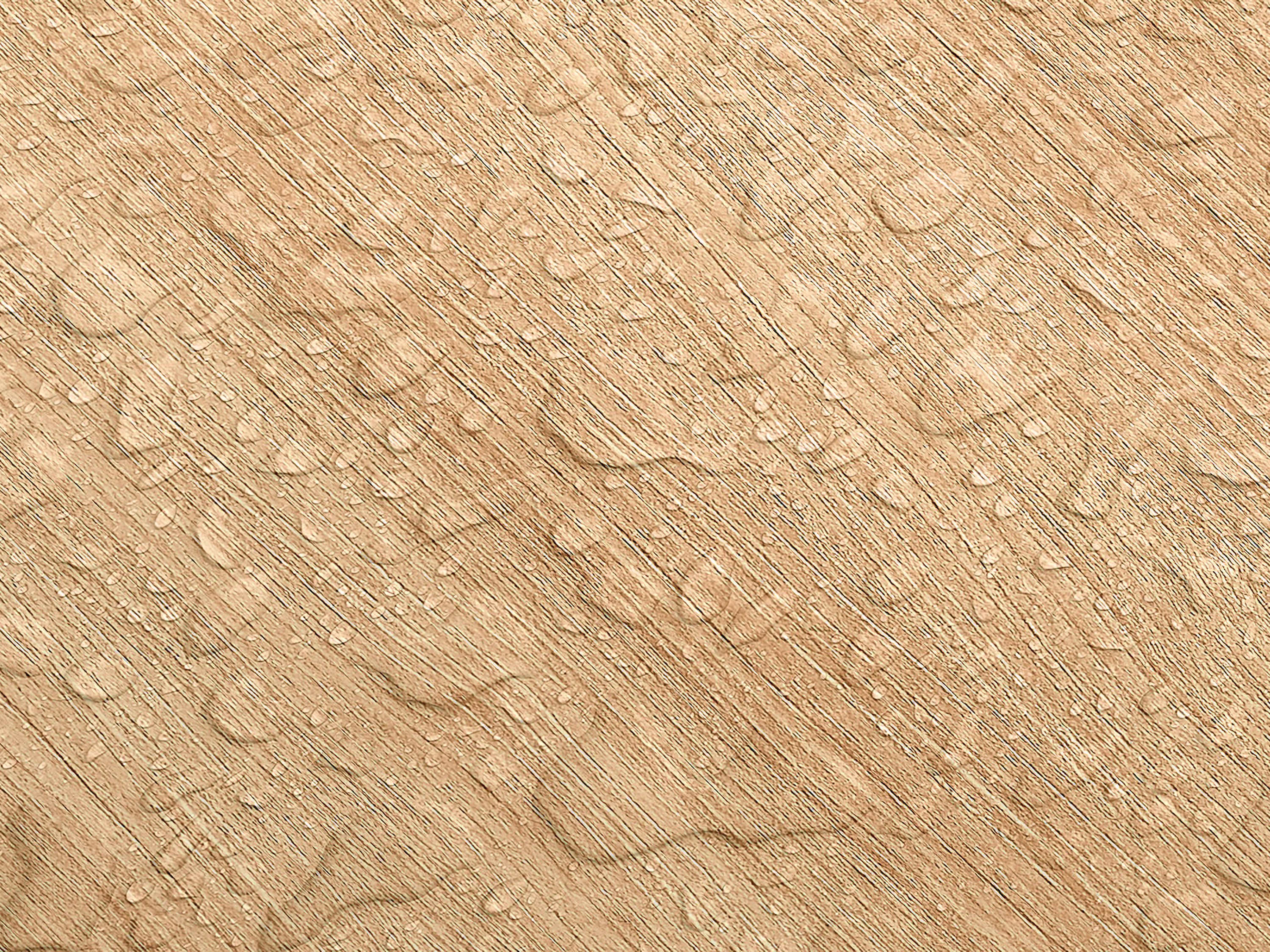 Testbild
