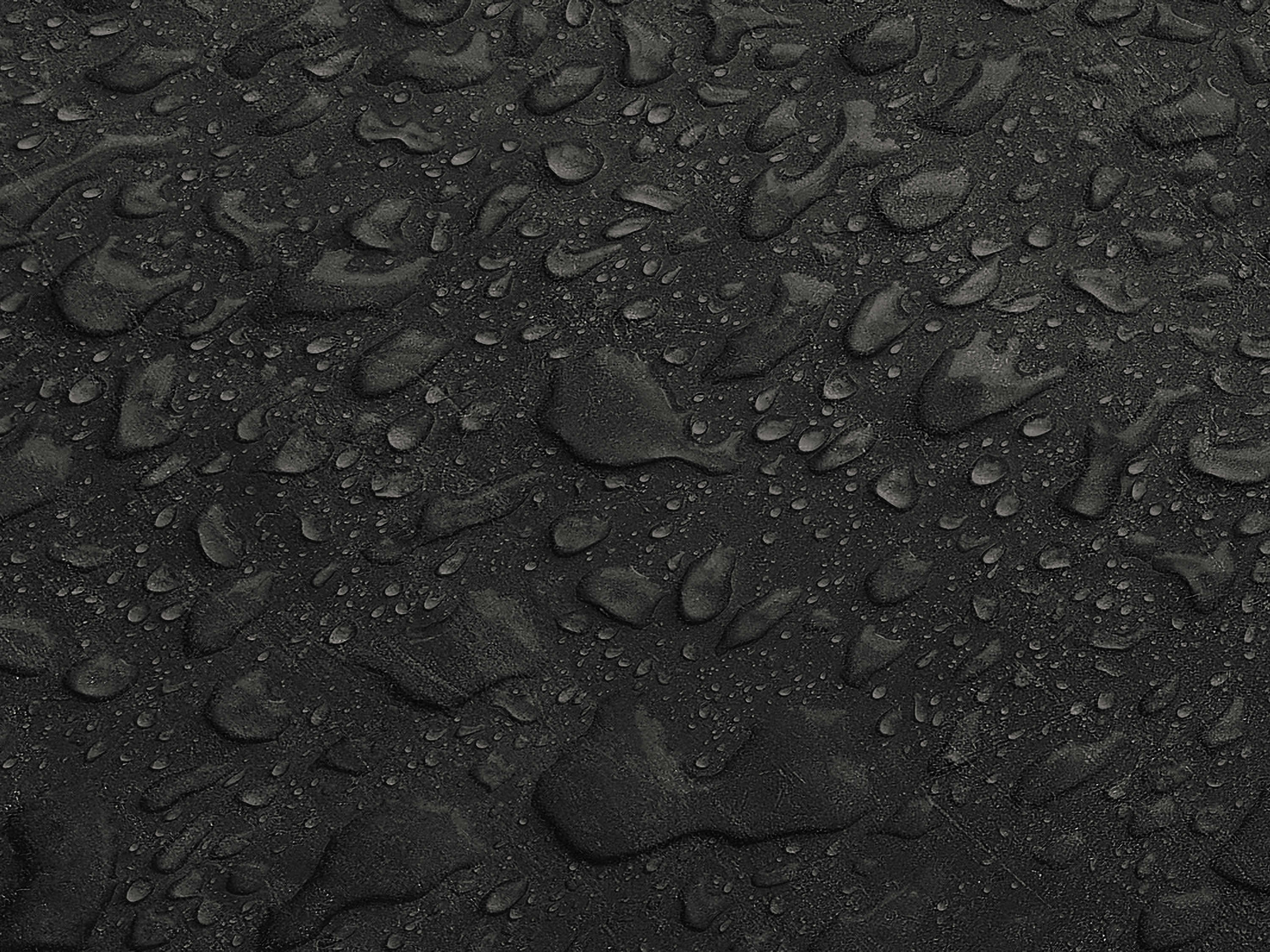 Testbild
