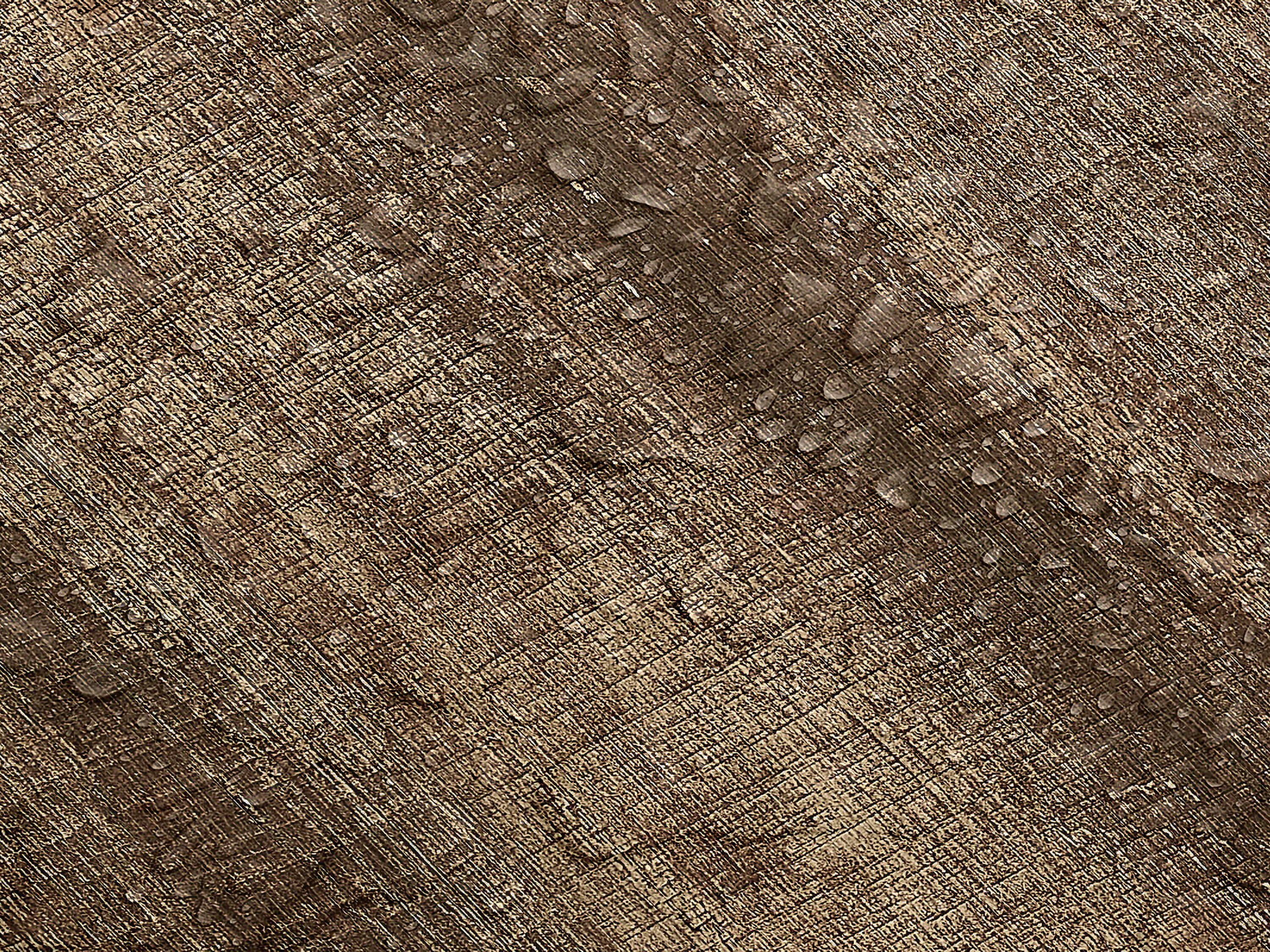 Testbild