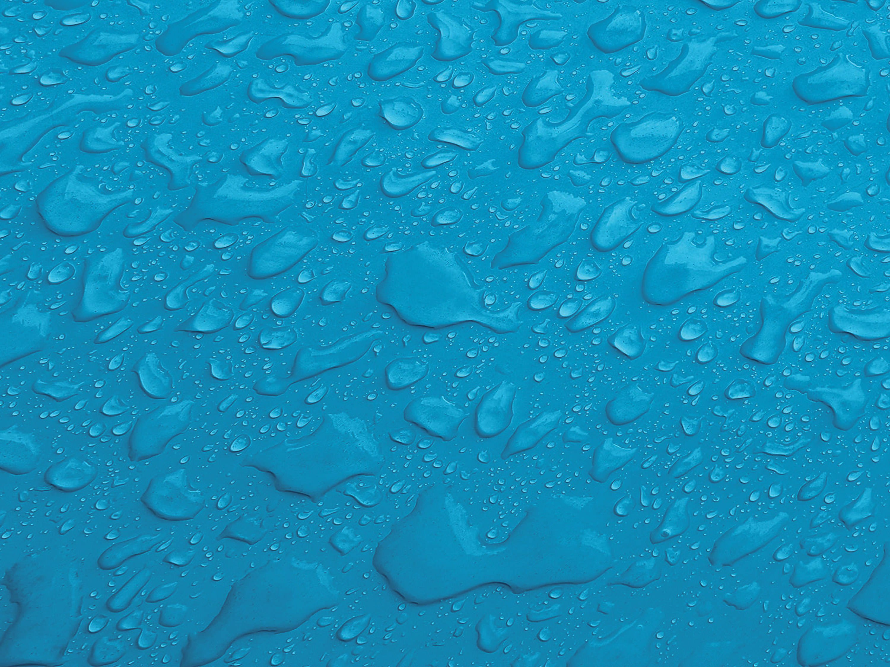 Testbild