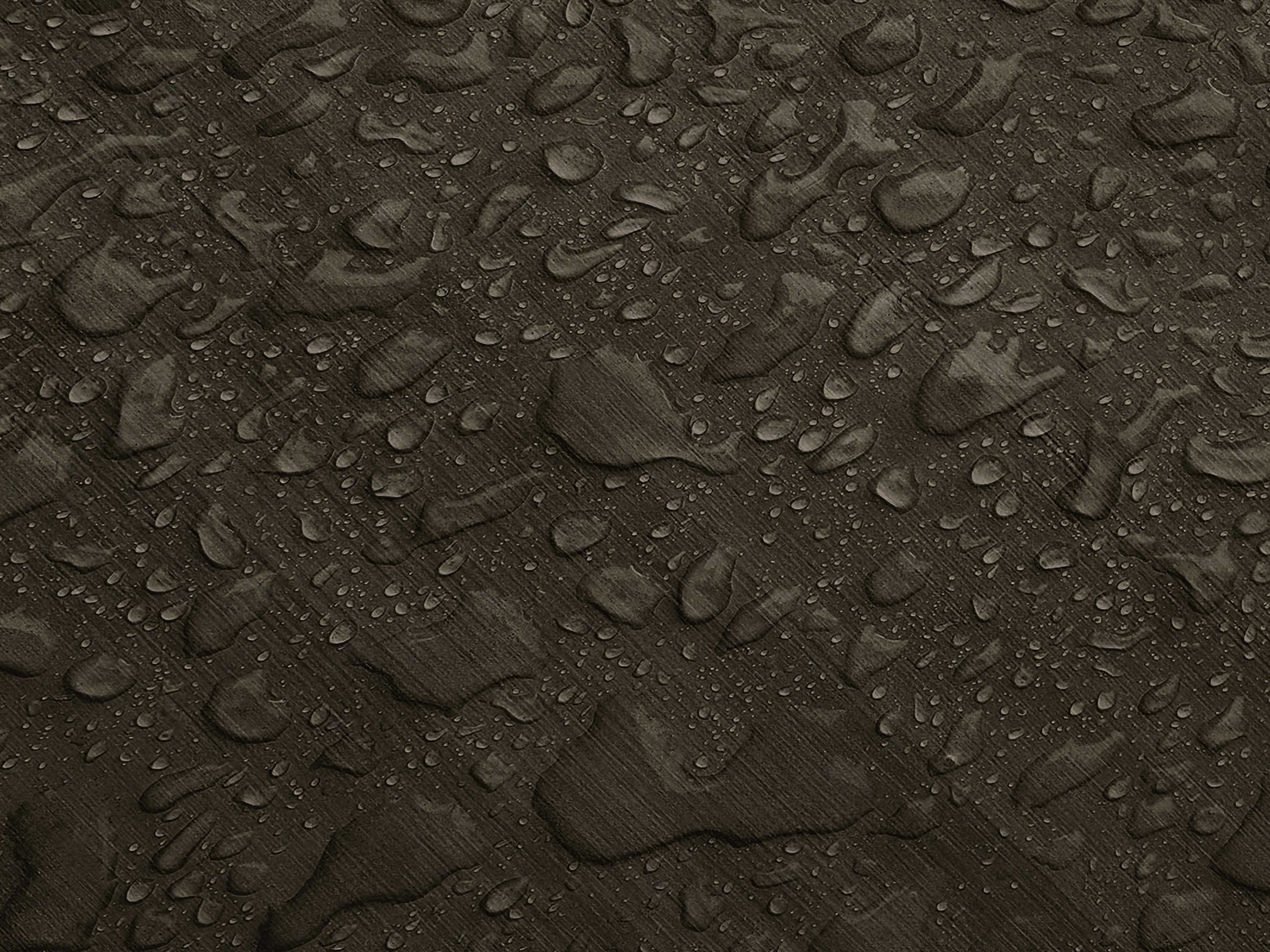 Testbild