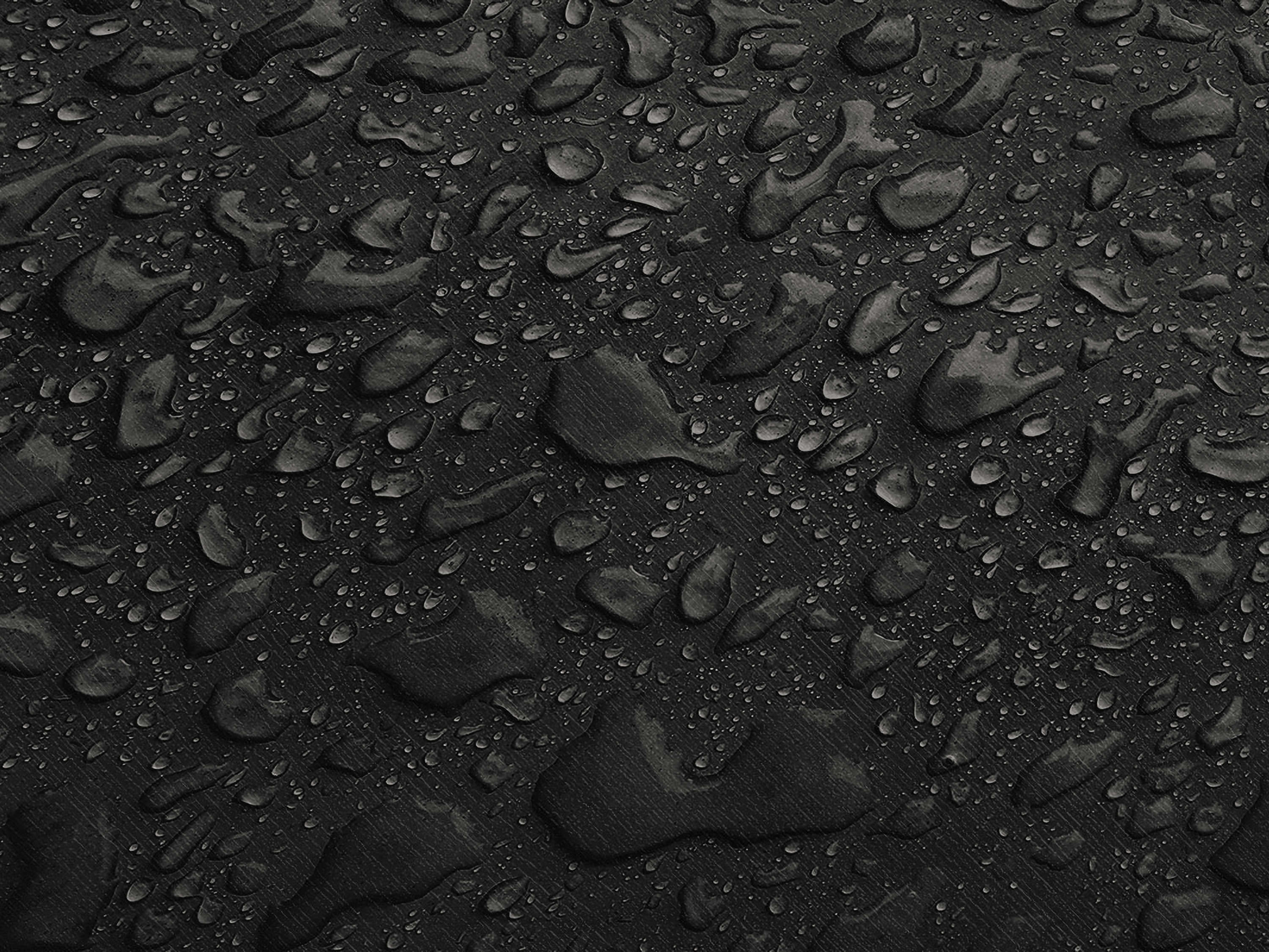 Testbild