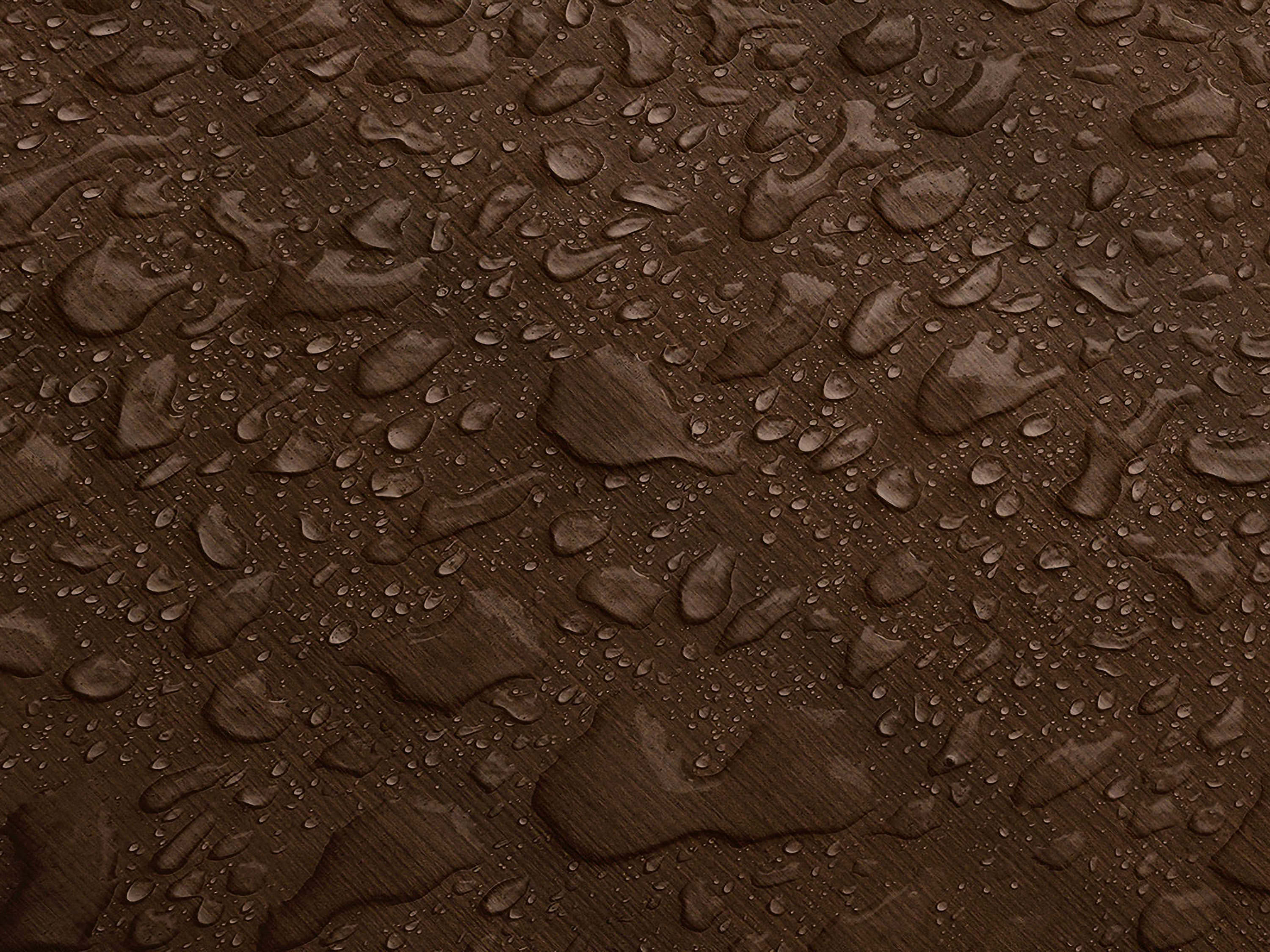 Testbild