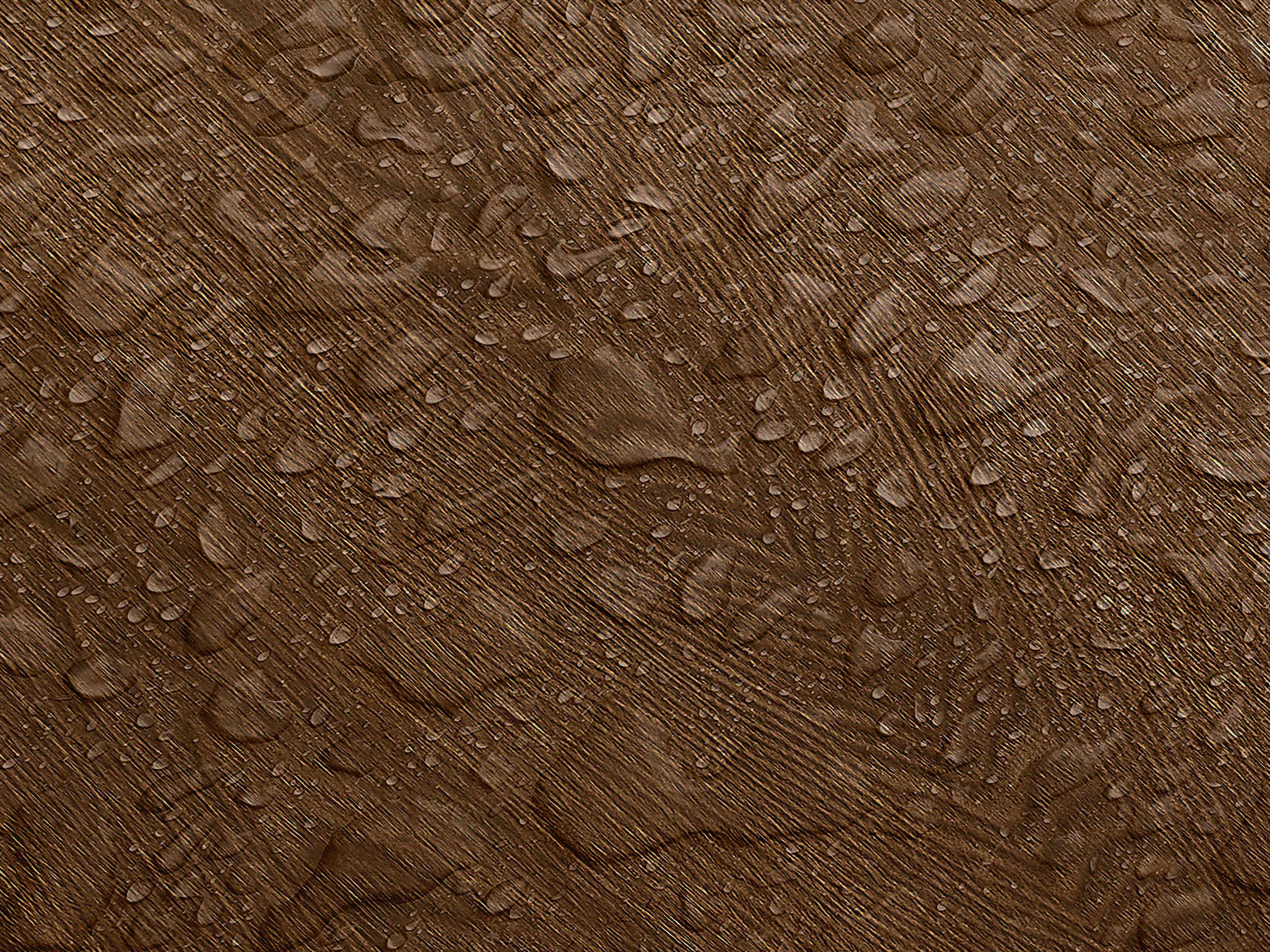 Testbild