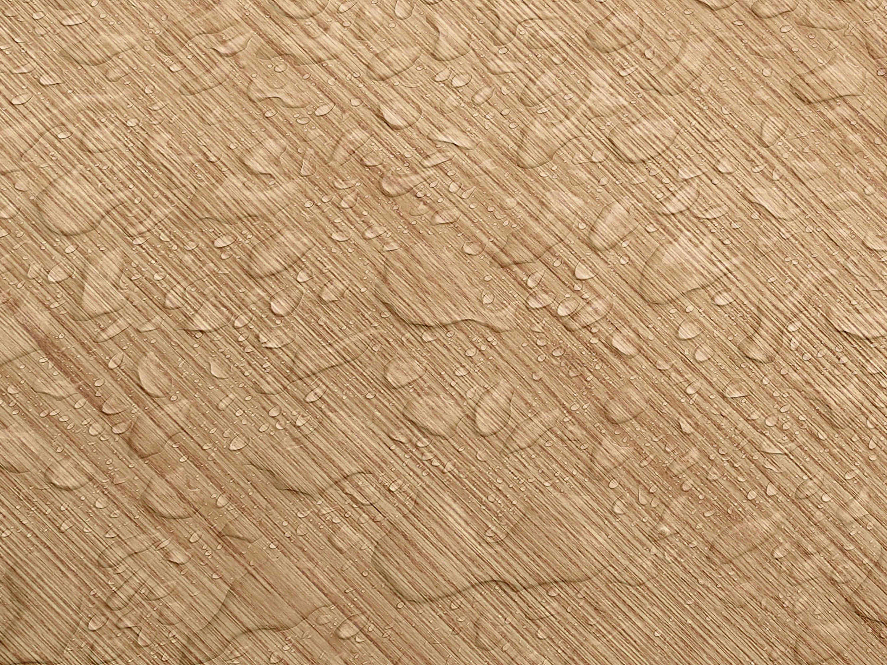 Testbild