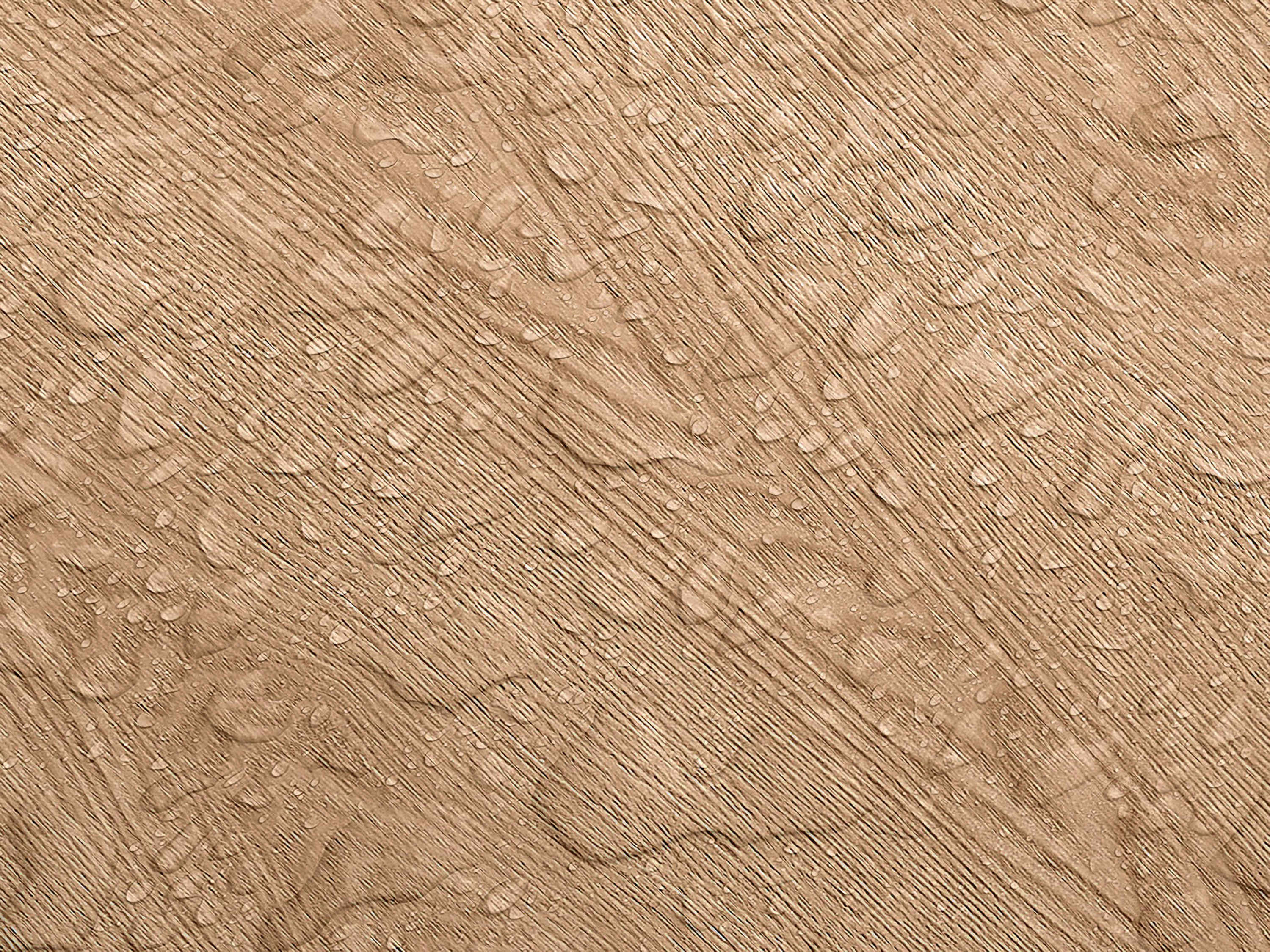 Testbild