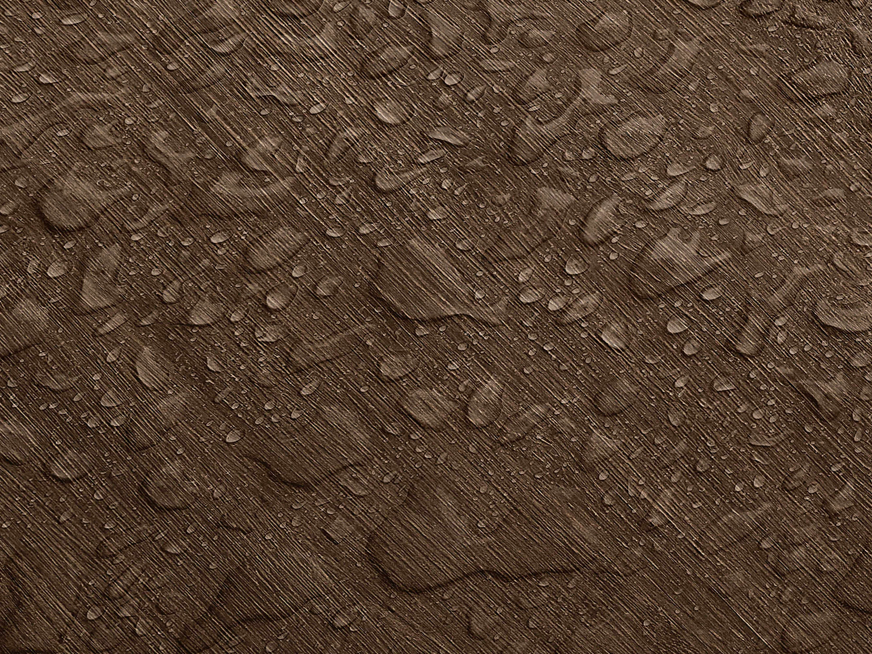 Testbild