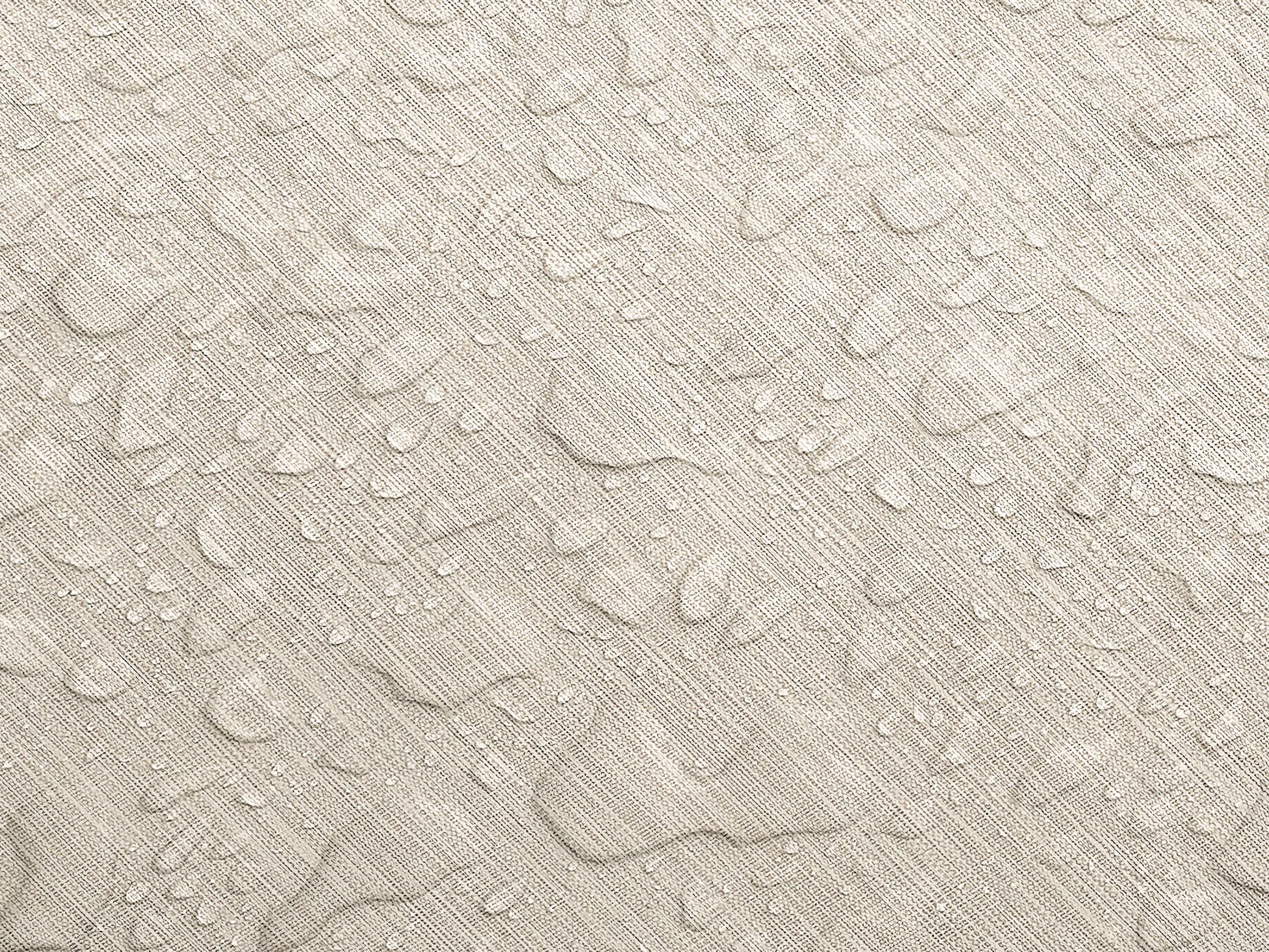 Testbild