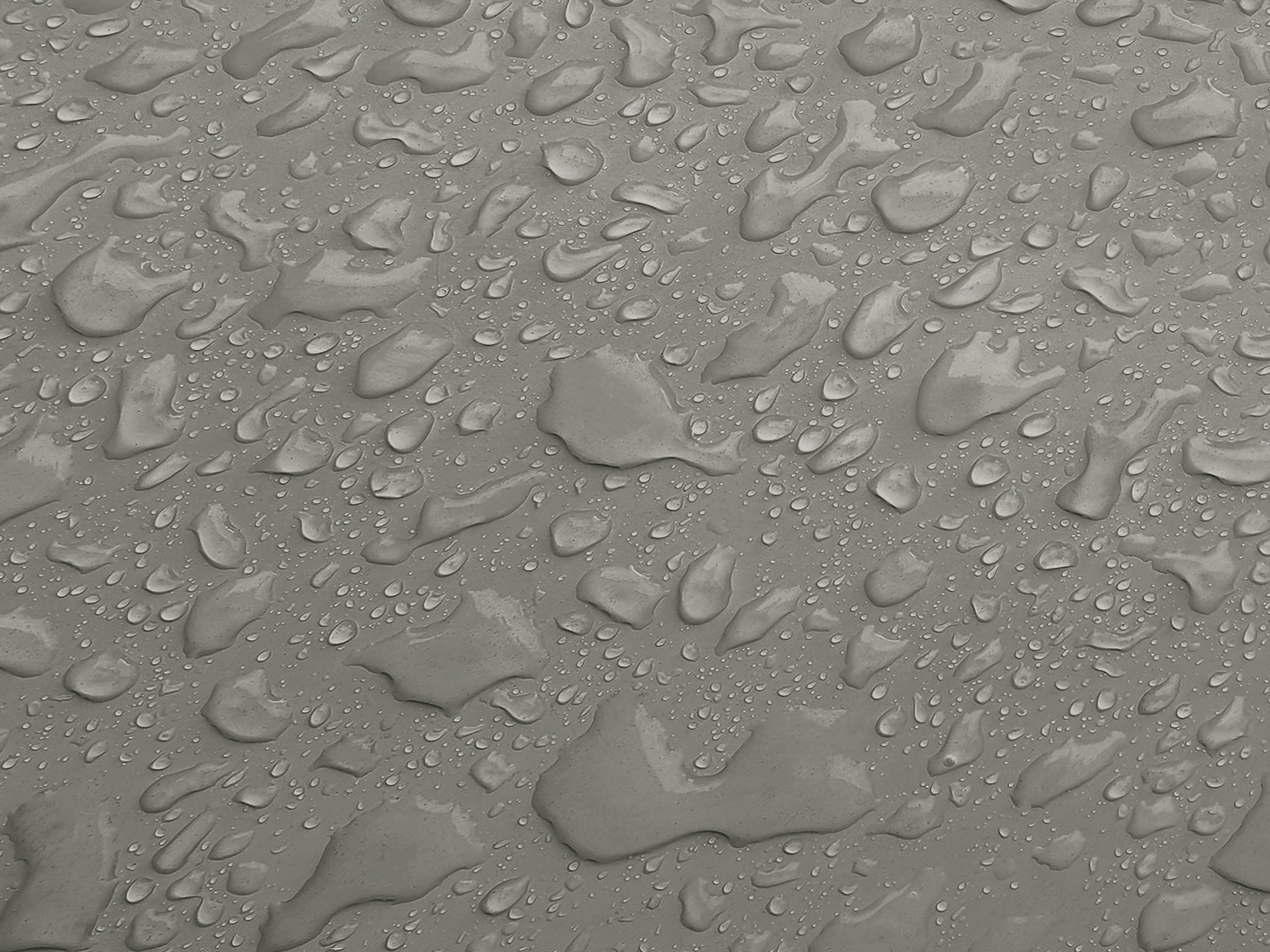 Testbild