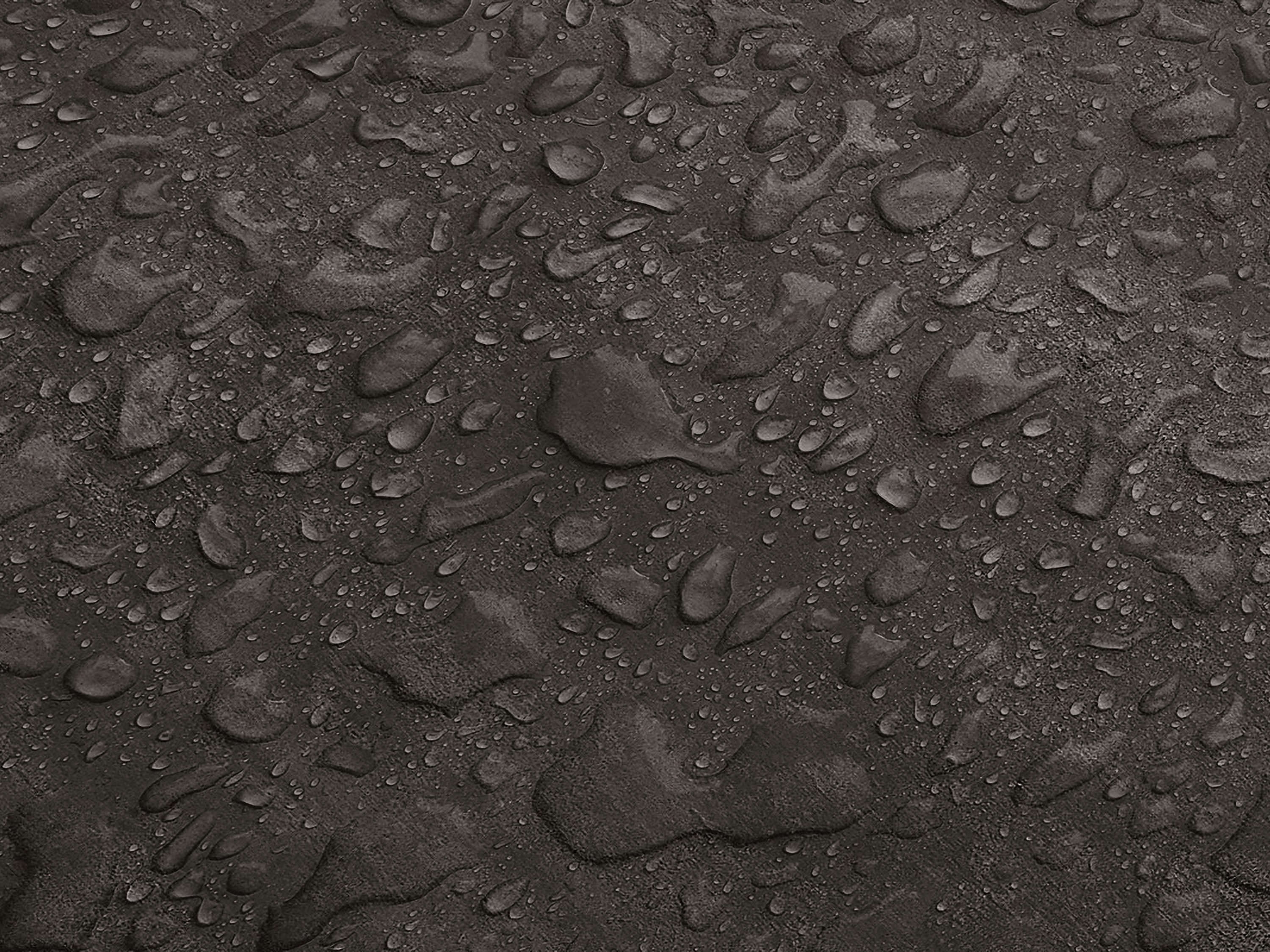 Testbild