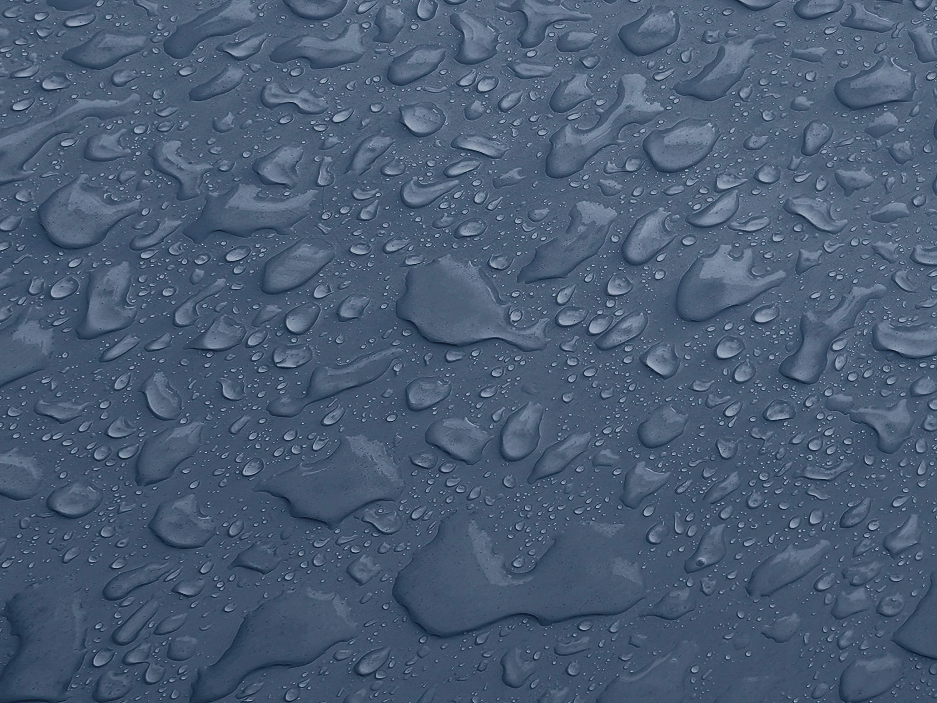 Testbild