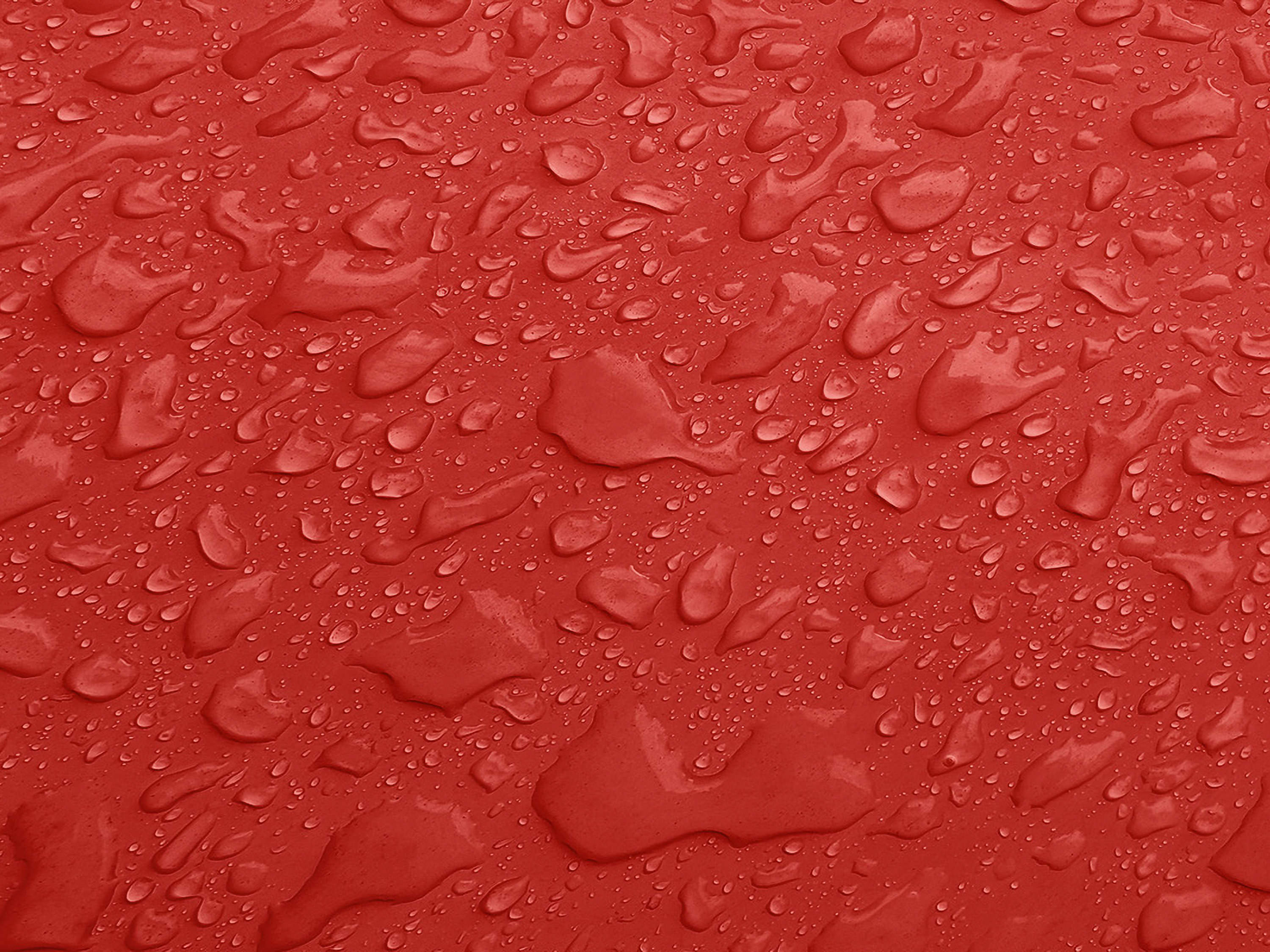 Testbild