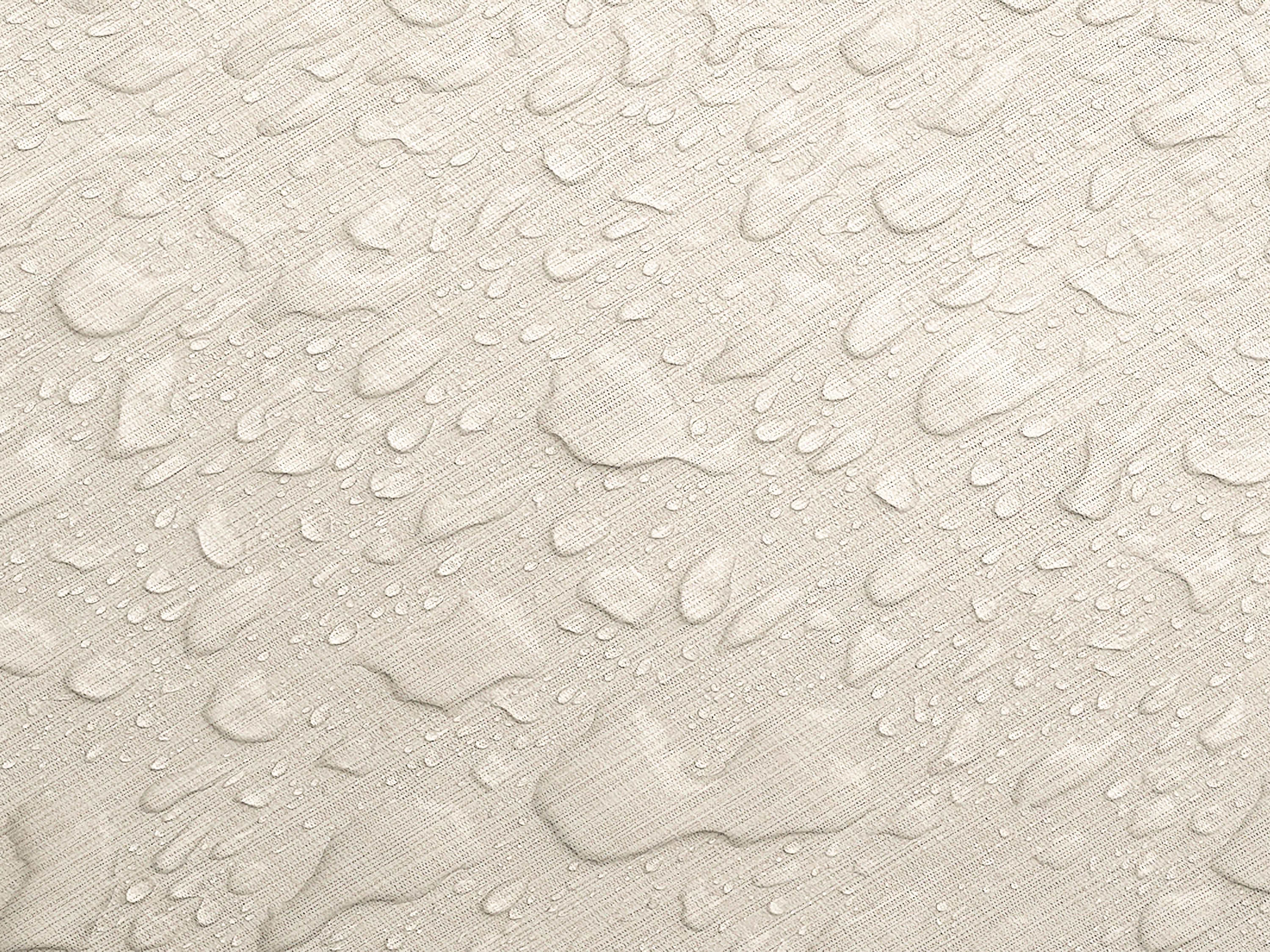 Testbild