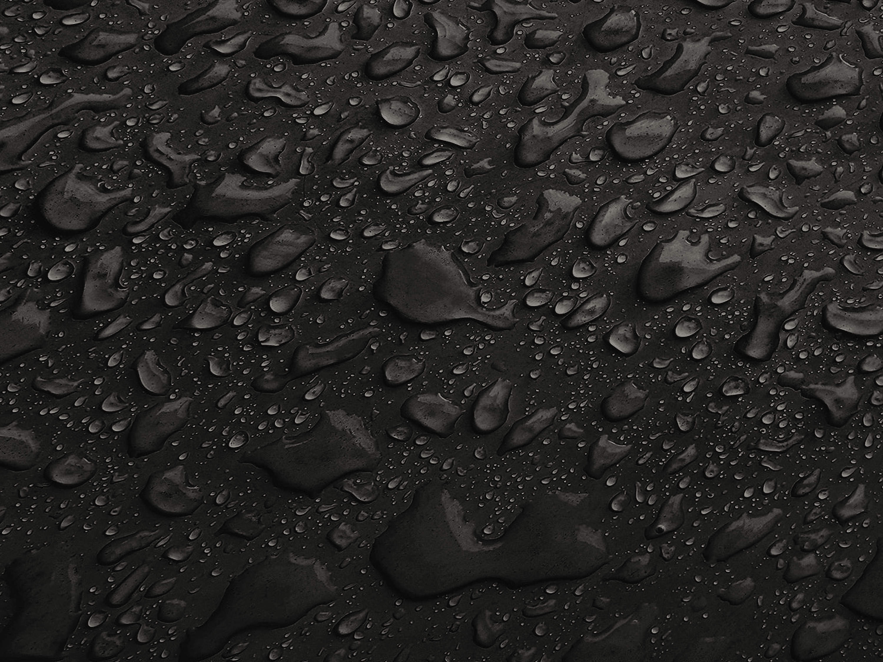 Testbild