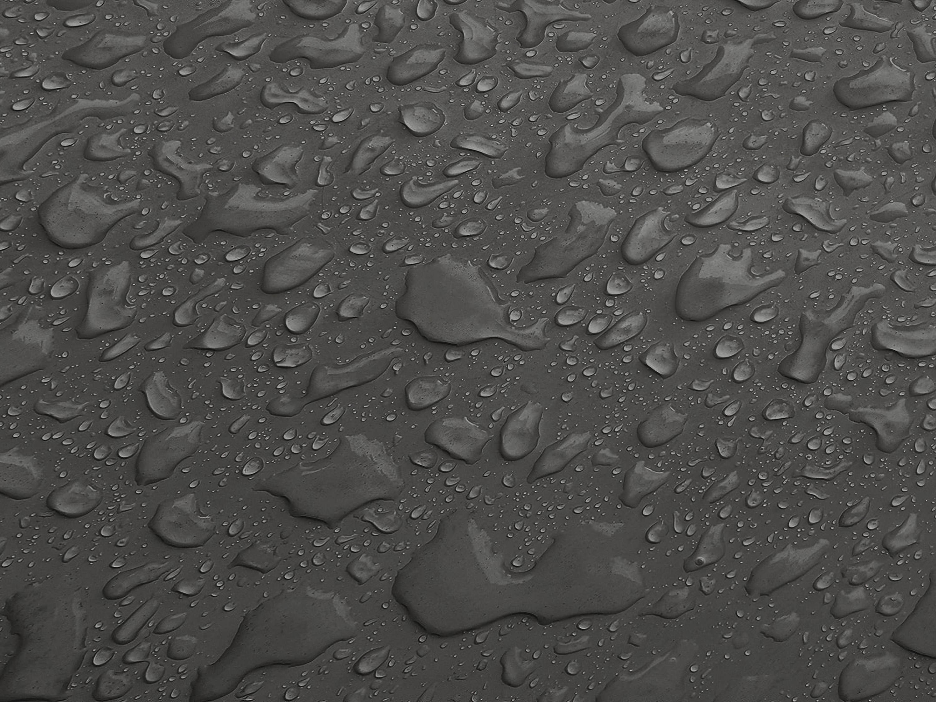 Testbild