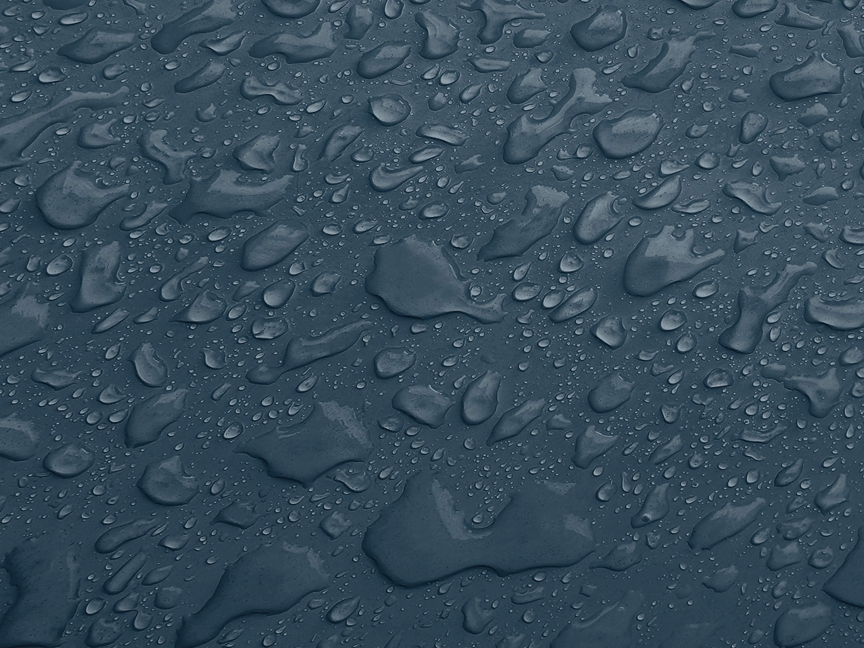 Testbild