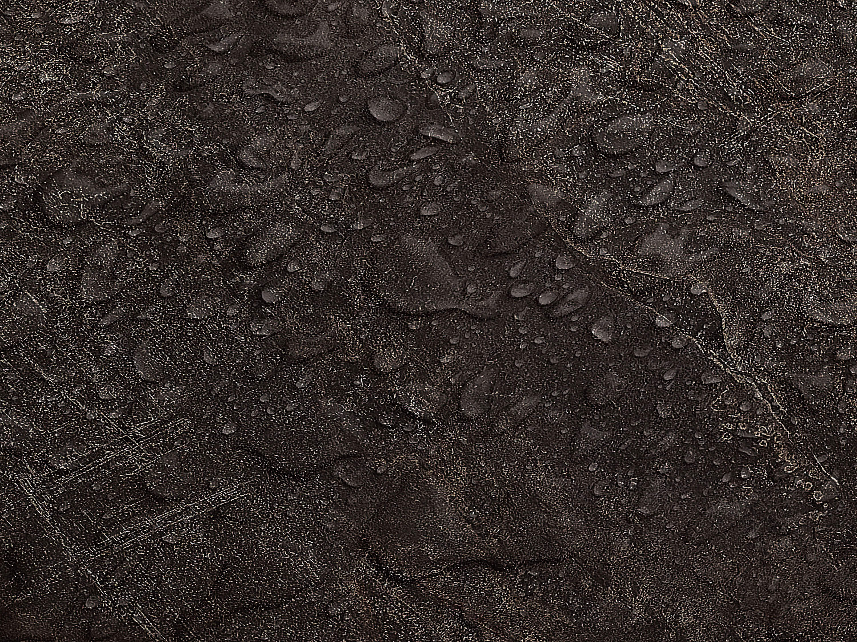 Testbild