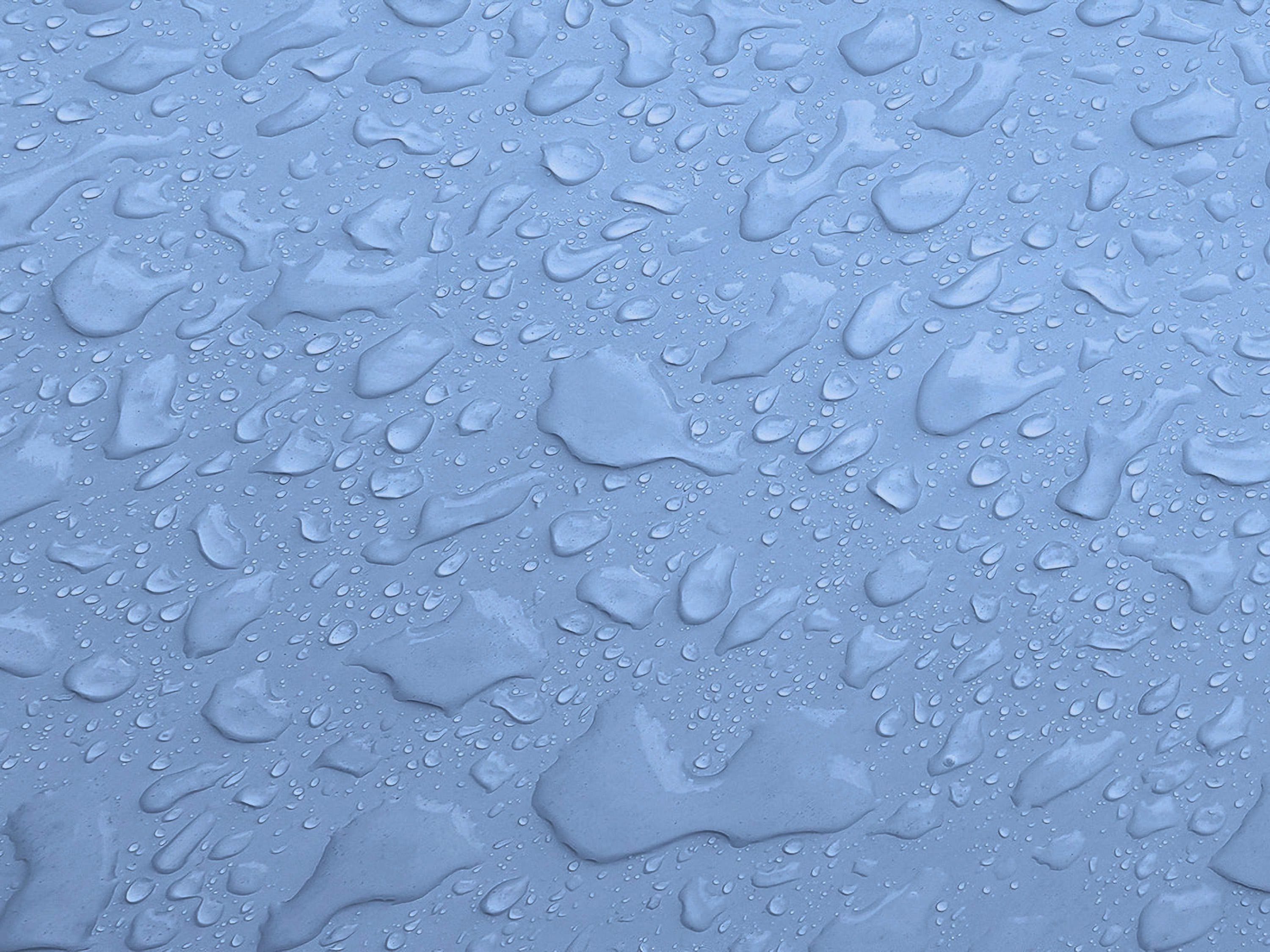 Testbild