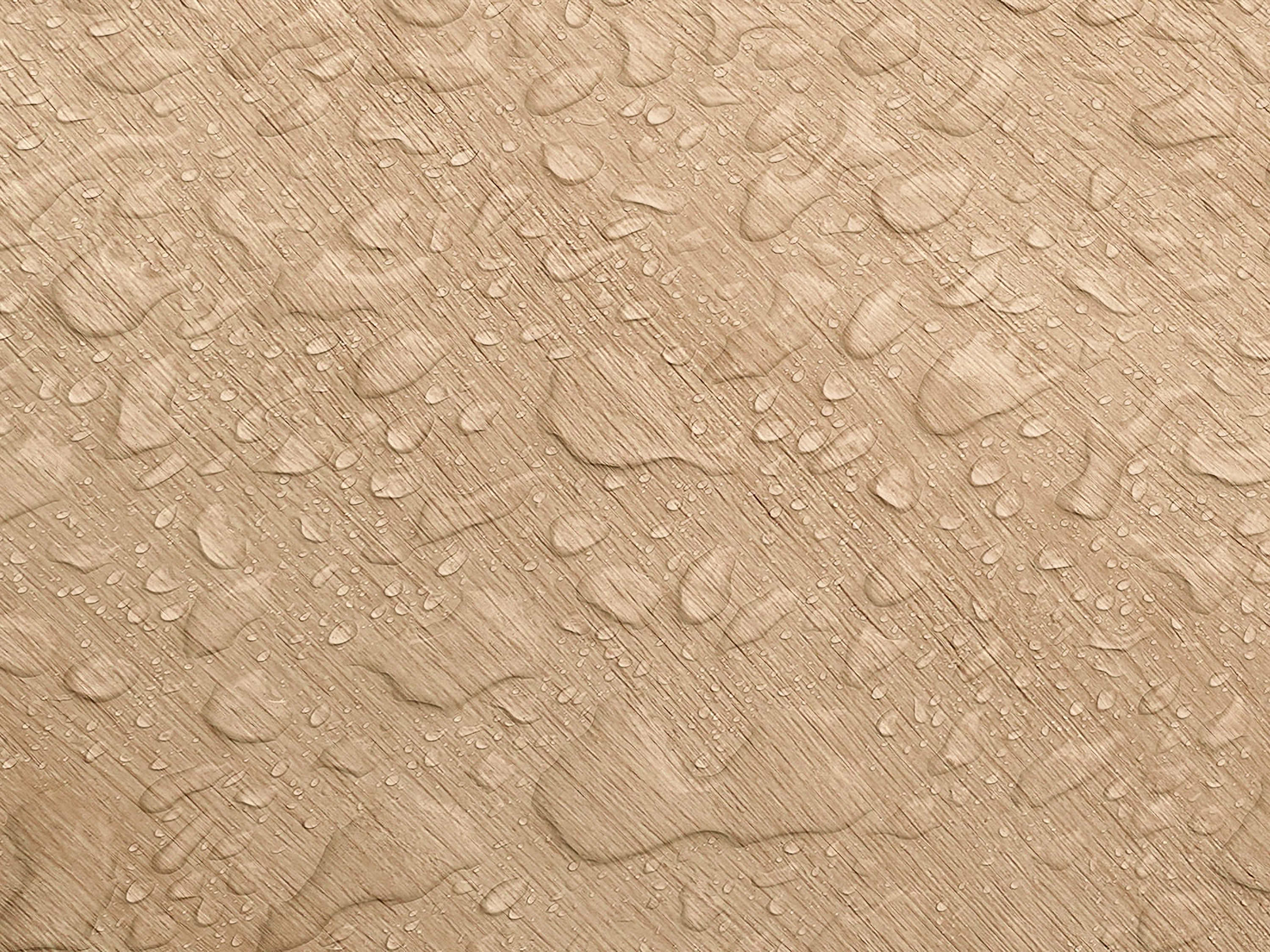 Testbild