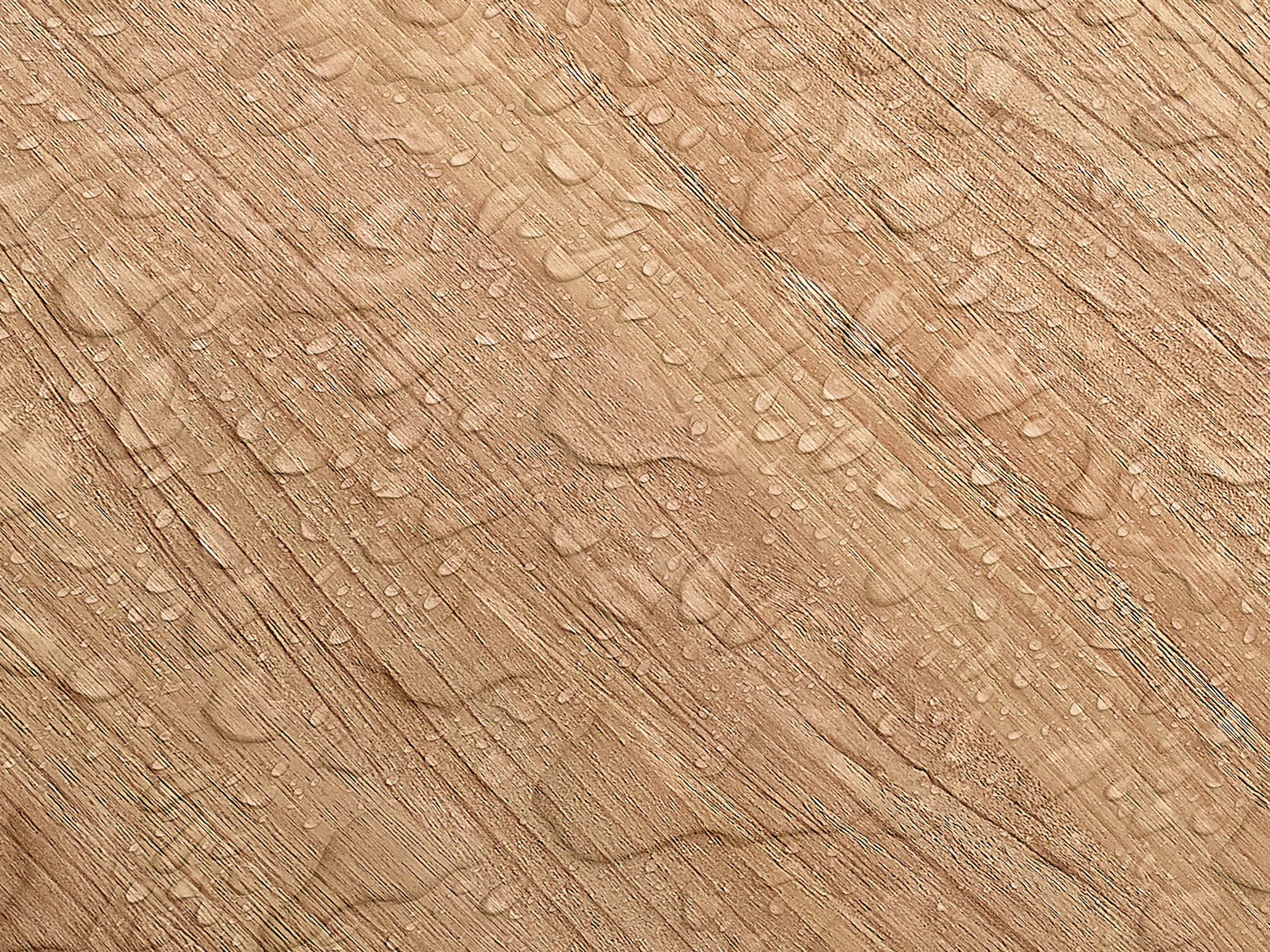 Testbild