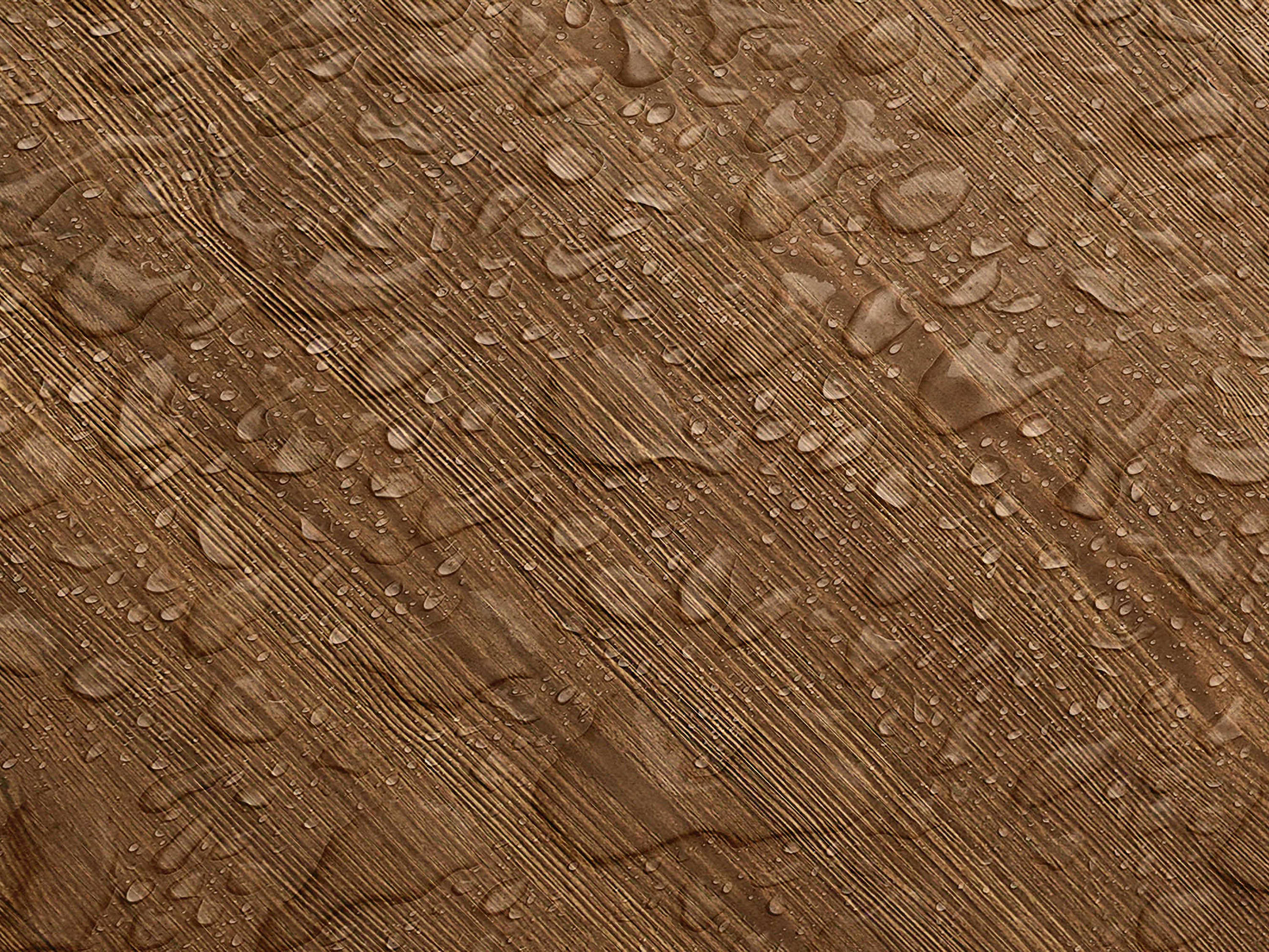Testbild